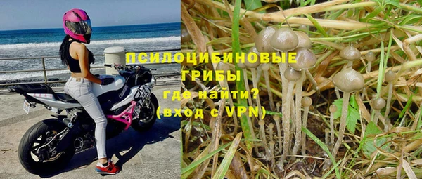 ПСИЛОЦИБИНОВЫЕ ГРИБЫ Дмитров
