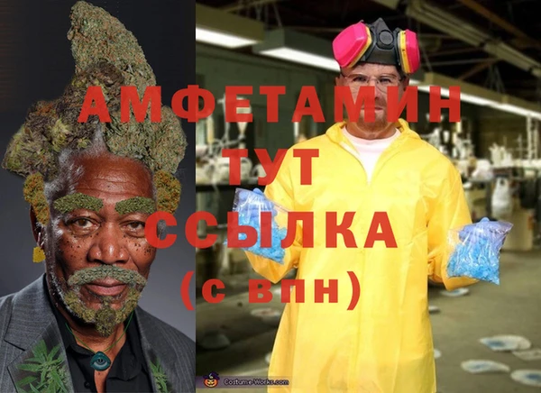 метадон Дмитриев