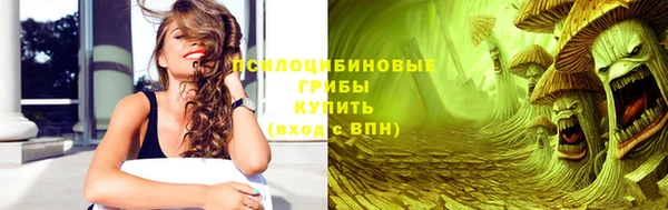 метадон Дмитриев